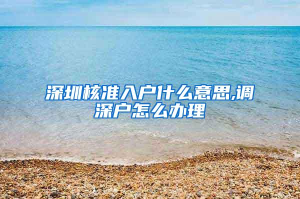 深圳核准入户什么意思,调深户怎么办理