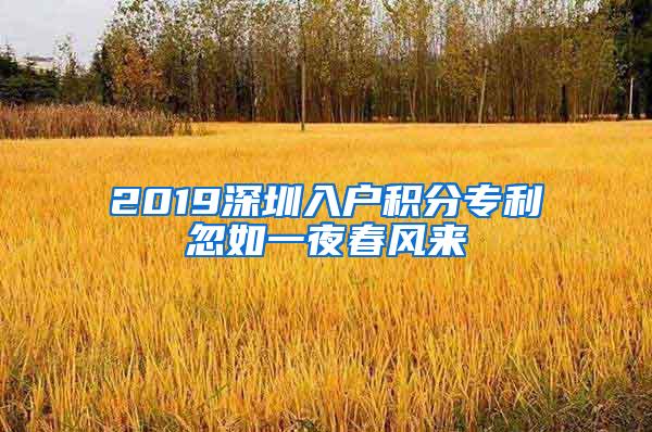 2019深圳入户积分专利忽如一夜春风来