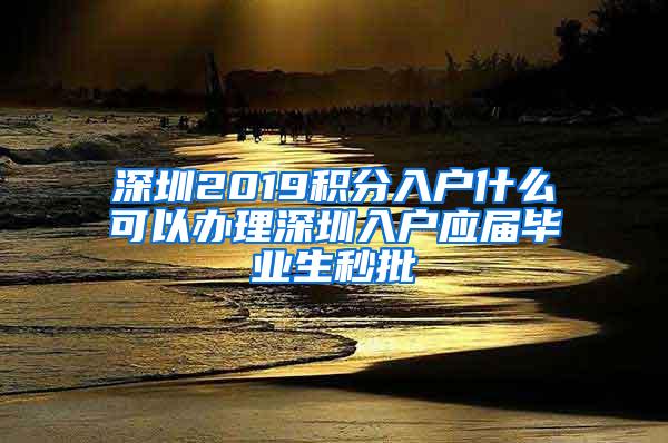 深圳2019积分入户什么可以办理深圳入户应届毕业生秒批