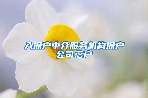 入深户中介服务机构深户公司落户