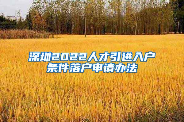 深圳2022人才引进入户条件落户申请办法