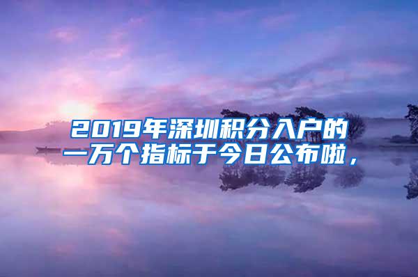 2019年深圳积分入户的一万个指标于今日公布啦，