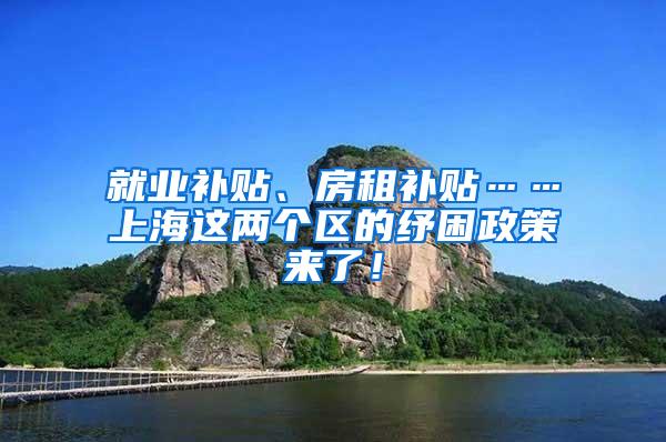 就业补贴、房租补贴……上海这两个区的纾困政策来了！