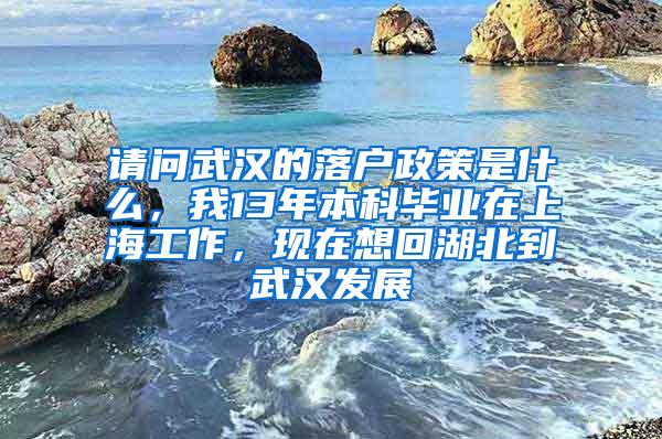 请问武汉的落户政策是什么，我13年本科毕业在上海工作，现在想回湖北到武汉发展