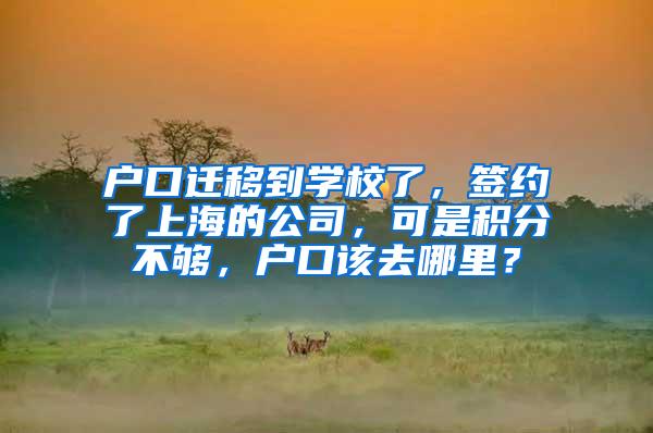 户口迁移到学校了，签约了上海的公司，可是积分不够，户口该去哪里？