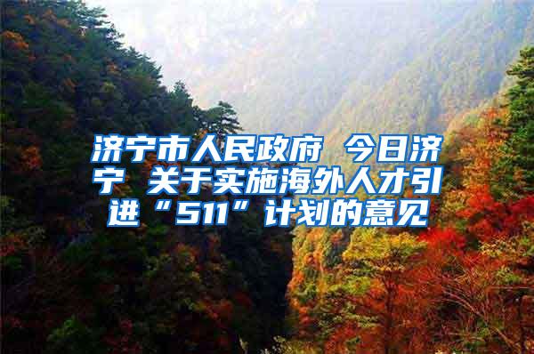 济宁市人民政府 今日济宁 关于实施海外人才引进“511”计划的意见