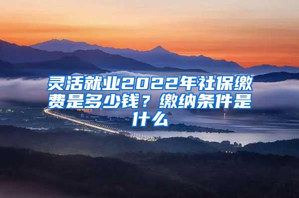 灵活就业2022年社保缴费是多少钱？缴纳条件是什么