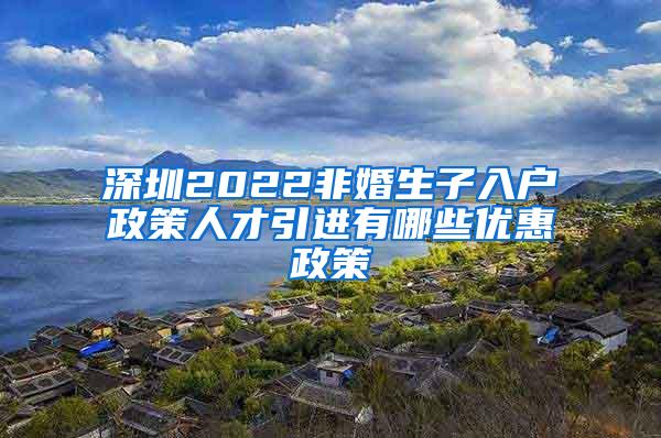 深圳2022非婚生子入户政策人才引进有哪些优惠政策