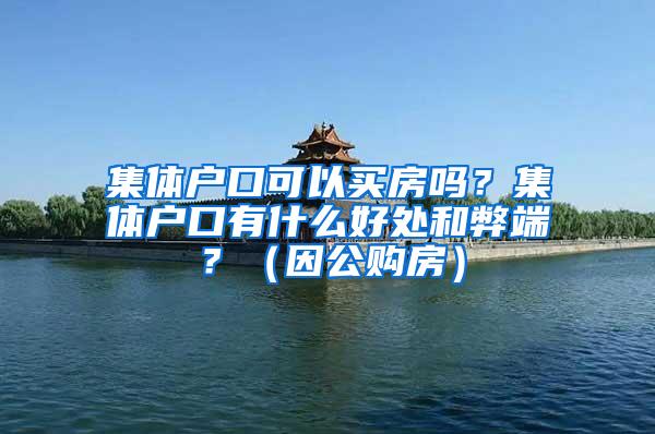 集体户口可以买房吗？集体户口有什么好处和弊端？（因公购房）