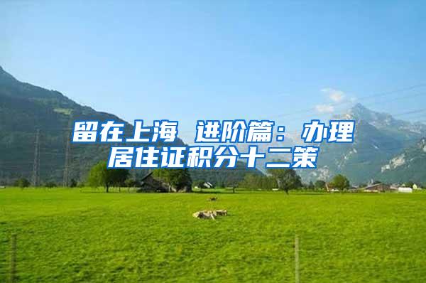 留在上海 进阶篇：办理居住证积分十二策