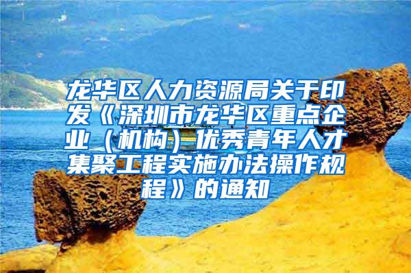 龙华区人力资源局关于印发《深圳市龙华区重点企业（机构）优秀青年人才集聚工程实施办法操作规程》的通知