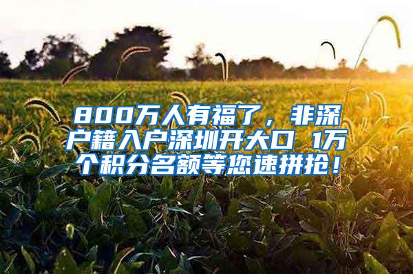 800万人有福了，非深户籍入户深圳开大口 1万个积分名额等您速拼抢！