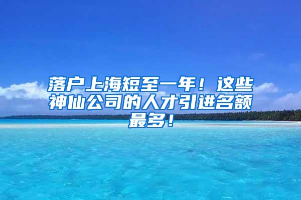 落户上海短至一年！这些神仙公司的人才引进名额最多！