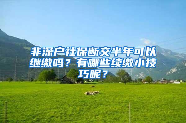 非深户社保断交半年可以继缴吗？有哪些续缴小技巧呢？