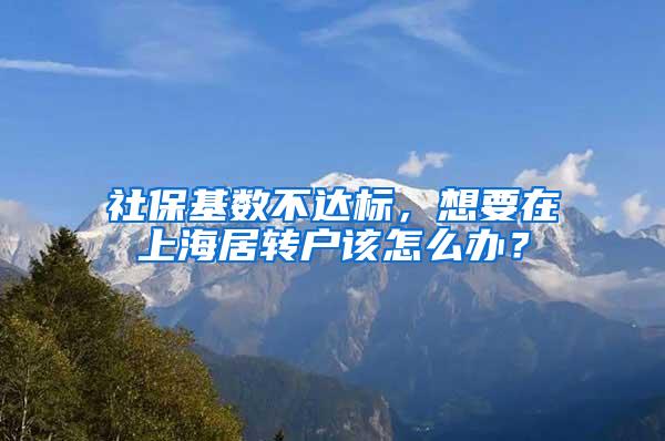 社保基数不达标，想要在上海居转户该怎么办？