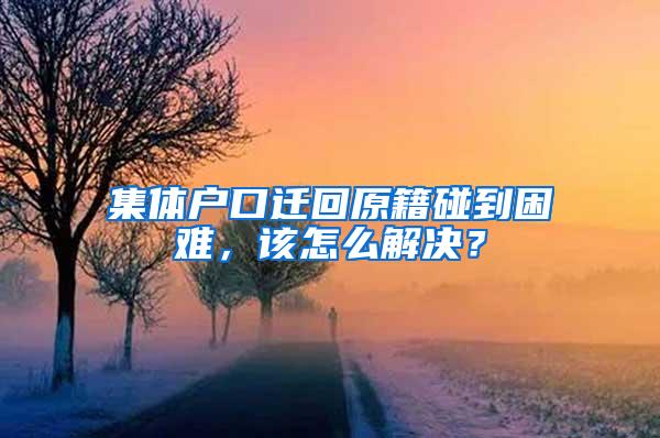 集体户口迁回原籍碰到困难，该怎么解决？