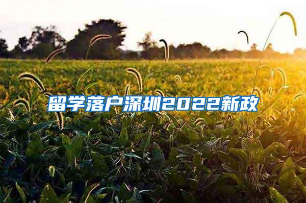 留学落户深圳2022新政