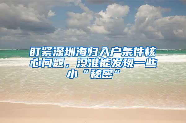 盯紧深圳海归入户条件核心问题，没准能发现一些小“秘密”