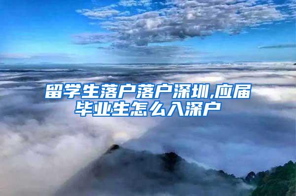 留学生落户落户深圳,应届毕业生怎么入深户