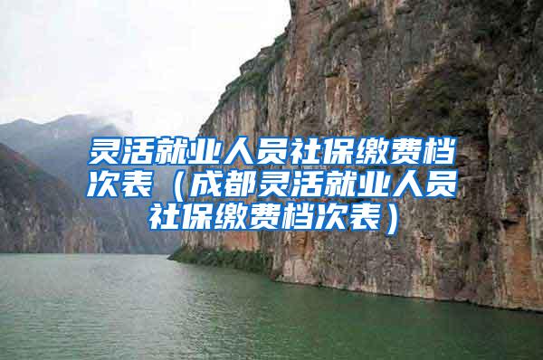 灵活就业人员社保缴费档次表（成都灵活就业人员社保缴费档次表）