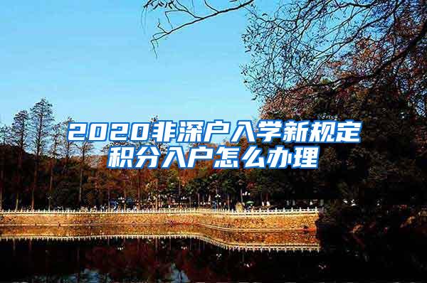 2020非深户入学新规定积分入户怎么办理