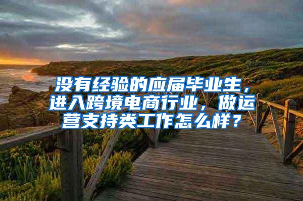 没有经验的应届毕业生，进入跨境电商行业，做运营支持类工作怎么样？