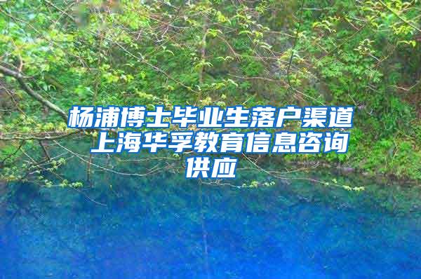 杨浦博士毕业生落户渠道 上海华孚教育信息咨询供应