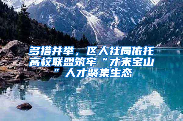 多措并举，区人社局依托高校联盟筑牢“才来宝山”人才聚集生态