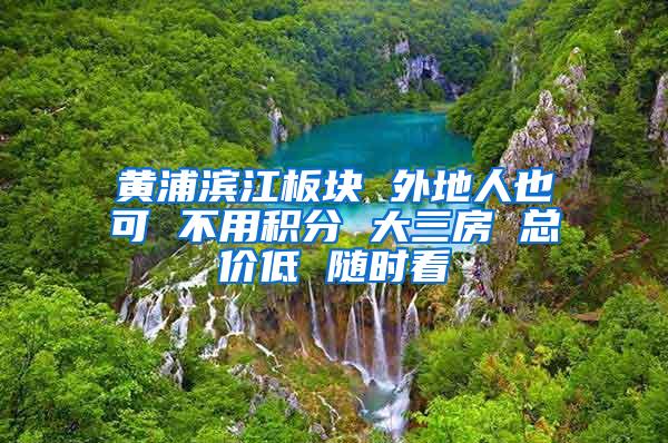 黄浦滨江板块 外地人也可 不用积分 大三房 总价低 随时看