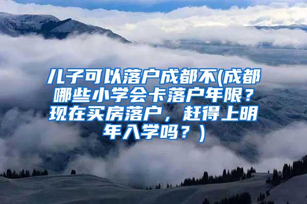 儿子可以落户成都不(成都哪些小学会卡落户年限？现在买房落户，赶得上明年入学吗？)