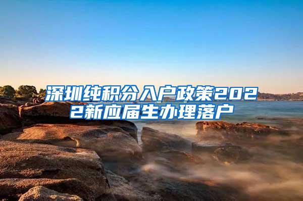 深圳纯积分入户政策2022新应届生办理落户