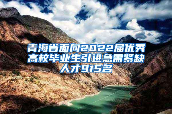 青海省面向2022届优秀高校毕业生引进急需紧缺人才915名