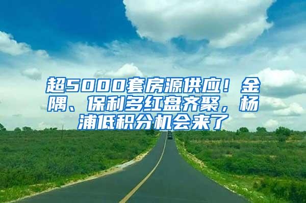 超5000套房源供应！金隅、保利多红盘齐聚，杨浦低积分机会来了