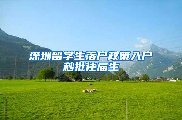 深圳留学生落户政策入户秒批往届生