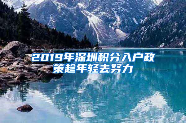 2019年深圳积分入户政策趁年轻去努力