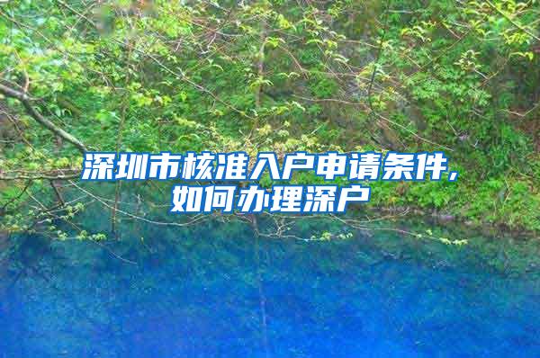 深圳市核准入户申请条件,如何办理深户