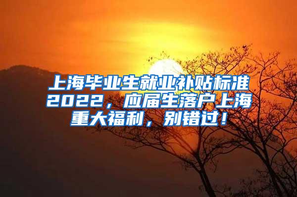 上海毕业生就业补贴标准2022，应届生落户上海重大福利，别错过！