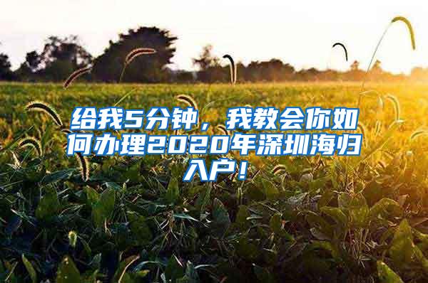 给我5分钟，我教会你如何办理2020年深圳海归入户！