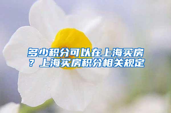 多少积分可以在上海买房？上海买房积分相关规定