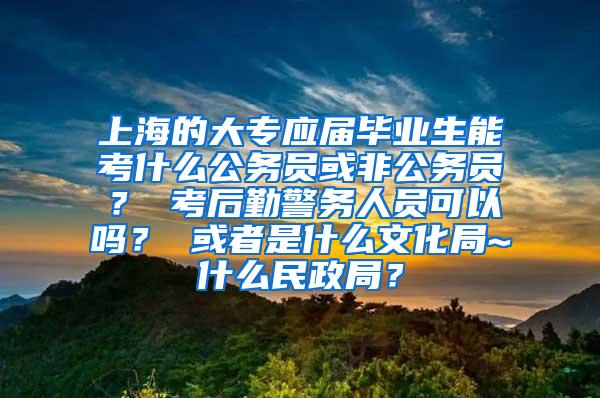 上海的大专应届毕业生能考什么公务员或非公务员？ 考后勤警务人员可以吗？ 或者是什么文化局~什么民政局？