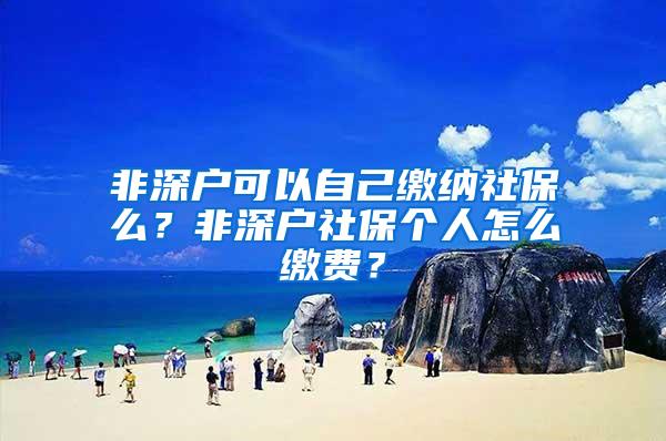 非深户可以自己缴纳社保么？非深户社保个人怎么缴费？