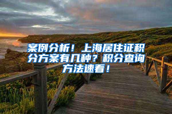 案例分析！上海居住证积分方案有几种？积分查询方法速看！