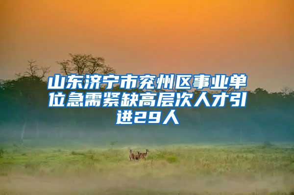 山东济宁市兖州区事业单位急需紧缺高层次人才引进29人