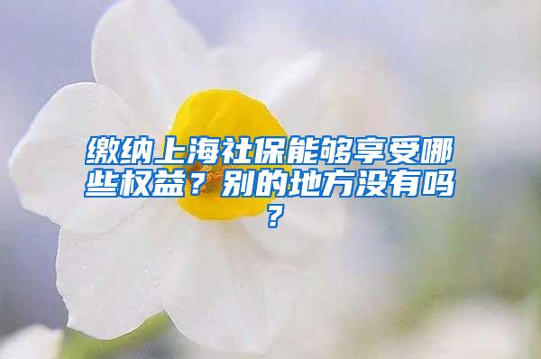 缴纳上海社保能够享受哪些权益？别的地方没有吗？