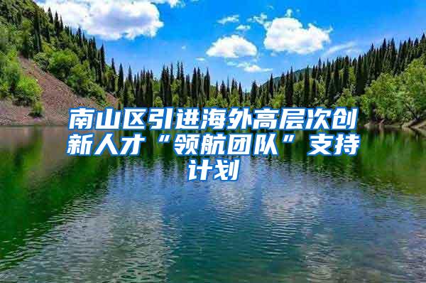 南山区引进海外高层次创新人才“领航团队”支持计划