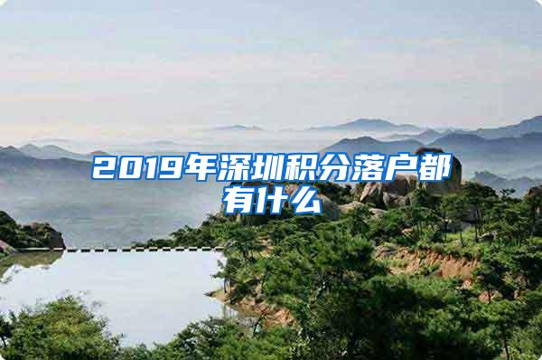 2019年深圳积分落户都有什么