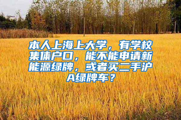 本人上海上大学，有学校集体户口，能不能申请新能源绿牌，或者买二手沪A绿牌车？