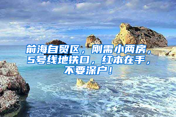 前海自贸区，刚需小两房，5号线地铁口，红本在手，不要深户！