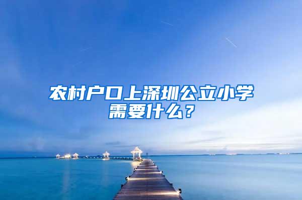 农村户口上深圳公立小学需要什么？