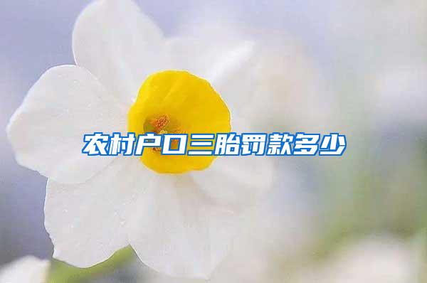 农村户口三胎罚款多少